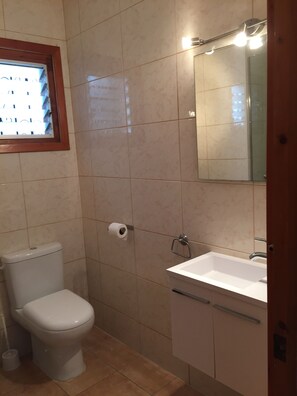 Shower, hair dryer