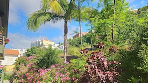 A narrow pathway flanked by lush greenery and flowering plants, leading to a residential area with houses and a clear blue sky. - Madeira Funchal Gardens (Funchal)