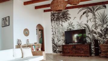 Télévision, lecteur de DVD, livres