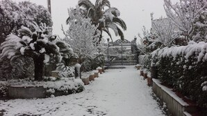 A snow-covered pathway leading to a gated entrance with a palm tree in the background. - Villa Raffaela - Stately home, independent, quiet, sunny, ideal for a relaxing holiday (Ercolano)