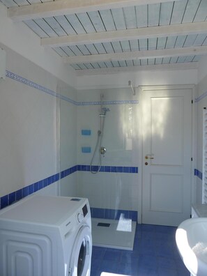 Shower, hair dryer