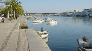 A waterfront marina with boats docked along the shore, a paved walkway, and palm trees lining the path.