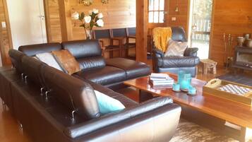 Smart TV, fireplace, DVD player, books