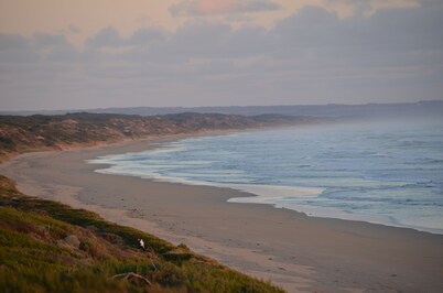 The Pickled Pipi beach house at Gippsland's Venus Bay (Pet Friendly)