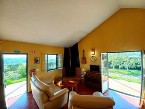 Fernseher, Kamin, Bücher, Stereoanlage