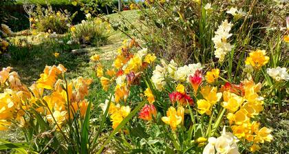 Where the nature and the welfare are find in full harmony
