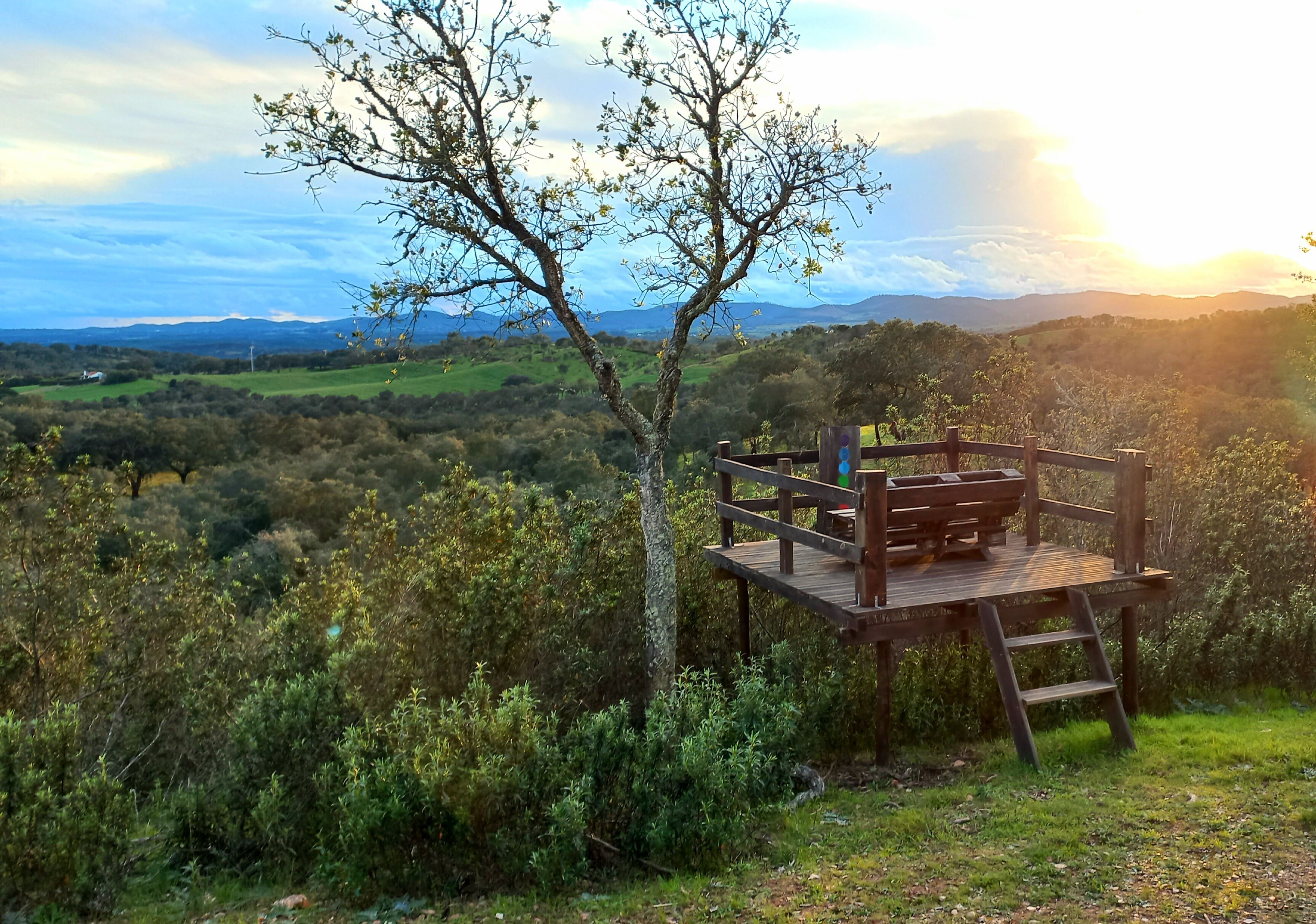 Overnatningsstedets område