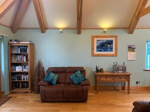 TV, fireplace, DVD player, books