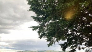 A wooden fence, a bench, and a view of a lake with hills in the distance. - Scottish Highlands Invergordon By NC500 Route Minimum 3 nights Any Start Day (Invergordon)