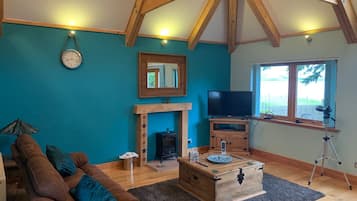 TV, fireplace, DVD player, books