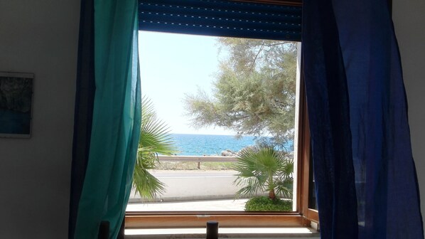 A window with a view of a coastal road, palm trees, and a clear blue sky.