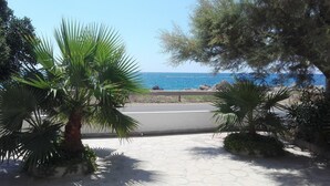 Un camino empedrado con palmeras y vista al mar.