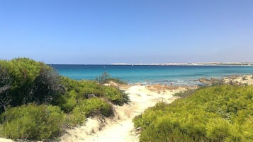 On the beach