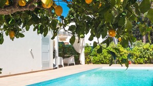 A swimming pool with a white building in the background, surrounded by greenery. - IN AVOLA, BETWEEN NOTO AND SIRACUSA, NEW VILLA WITH PRIVATE POOL (Avola)