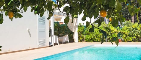 Una piscina con un edificio blanco al fondo, rodeada de follaje.