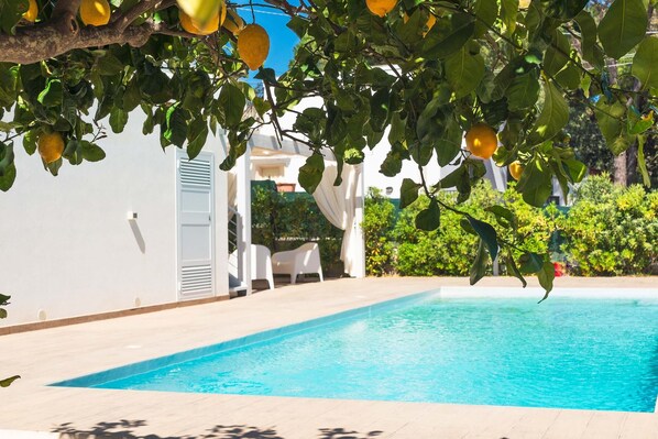 A swimming pool with a white building in the background, surrounded by greenery.