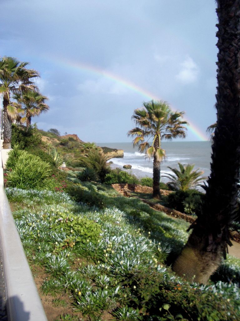 A coastal landscape with a view of the ocean, palm trees, and a rainbow.