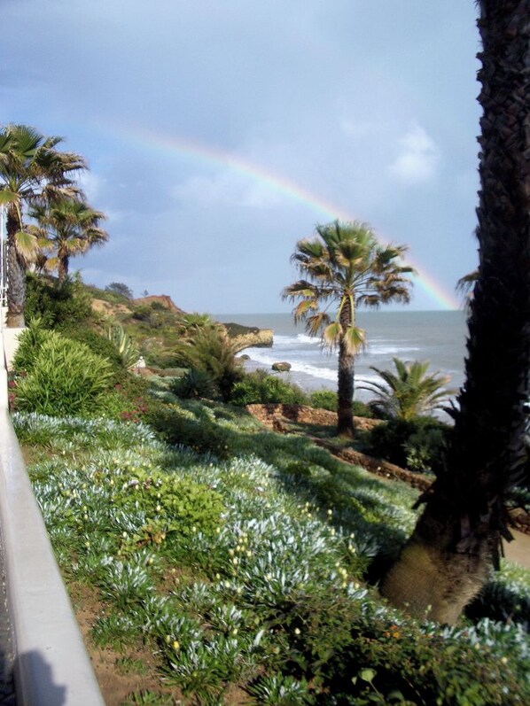 A coastal landscape with a view of the ocean, palm trees, and a rainbow.