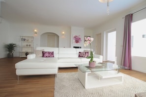 TV connectée, cheminée, lecteur de DVD, table de tennis de table