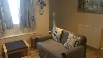 Télévision, cheminée, lecteur de DVD, livres