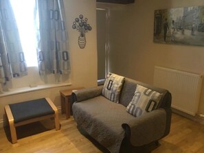 TV, fireplace, DVD player, books