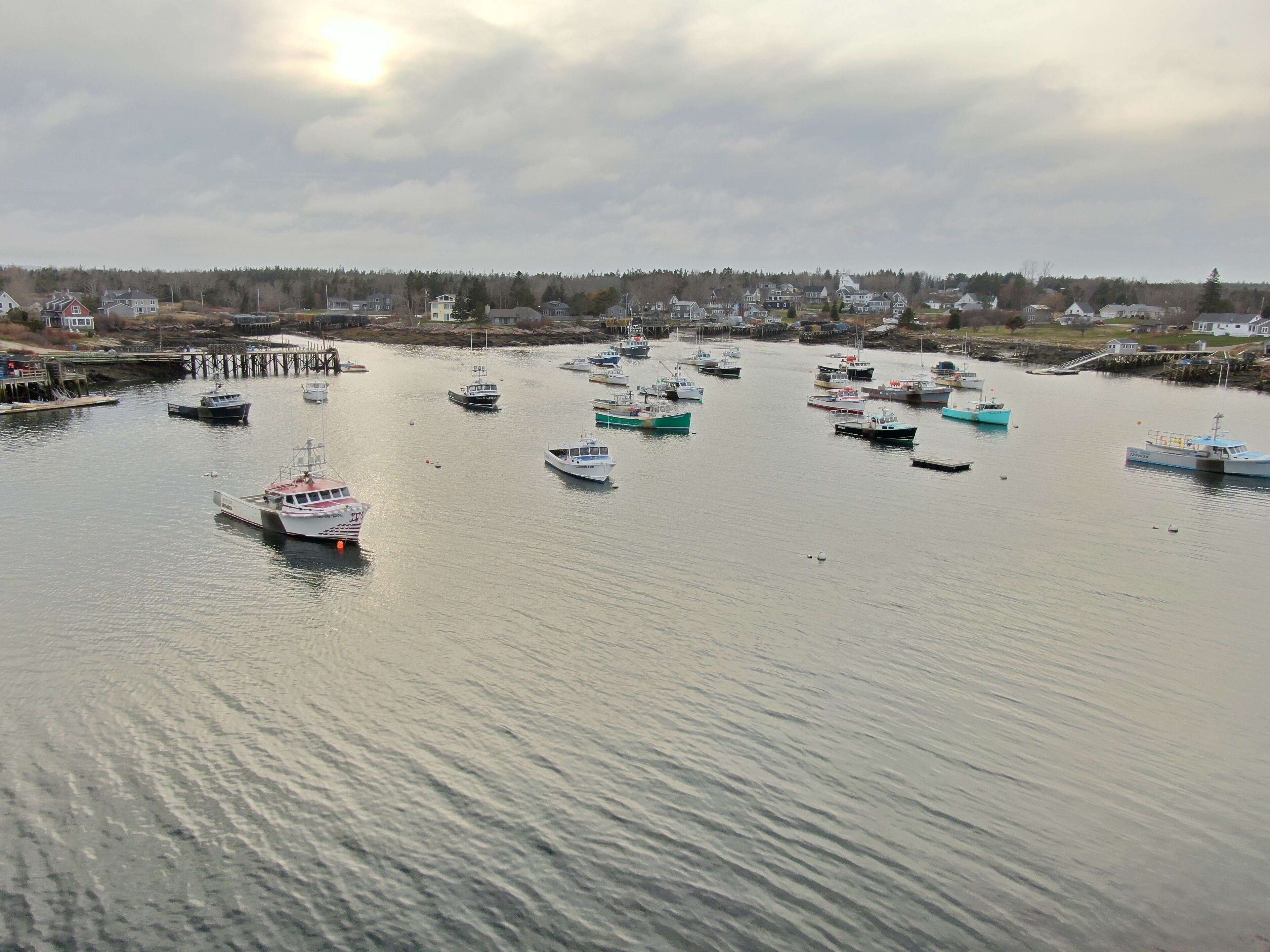 A marina with various boats docked.