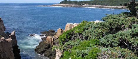 Ranta