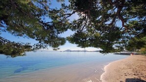 Una playa con agua cristalina, una orilla arenosa y árboles en primer plano.