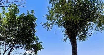 GREEN VILLA Luxuriöse Steinvilla mit privatem Pool und Panorama-Meerblick!