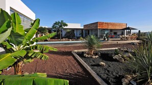 Un bâtiment moderne doté d’un patio comprenant une piscine, des espaces pour s’asseoir et des plantes tropicales.