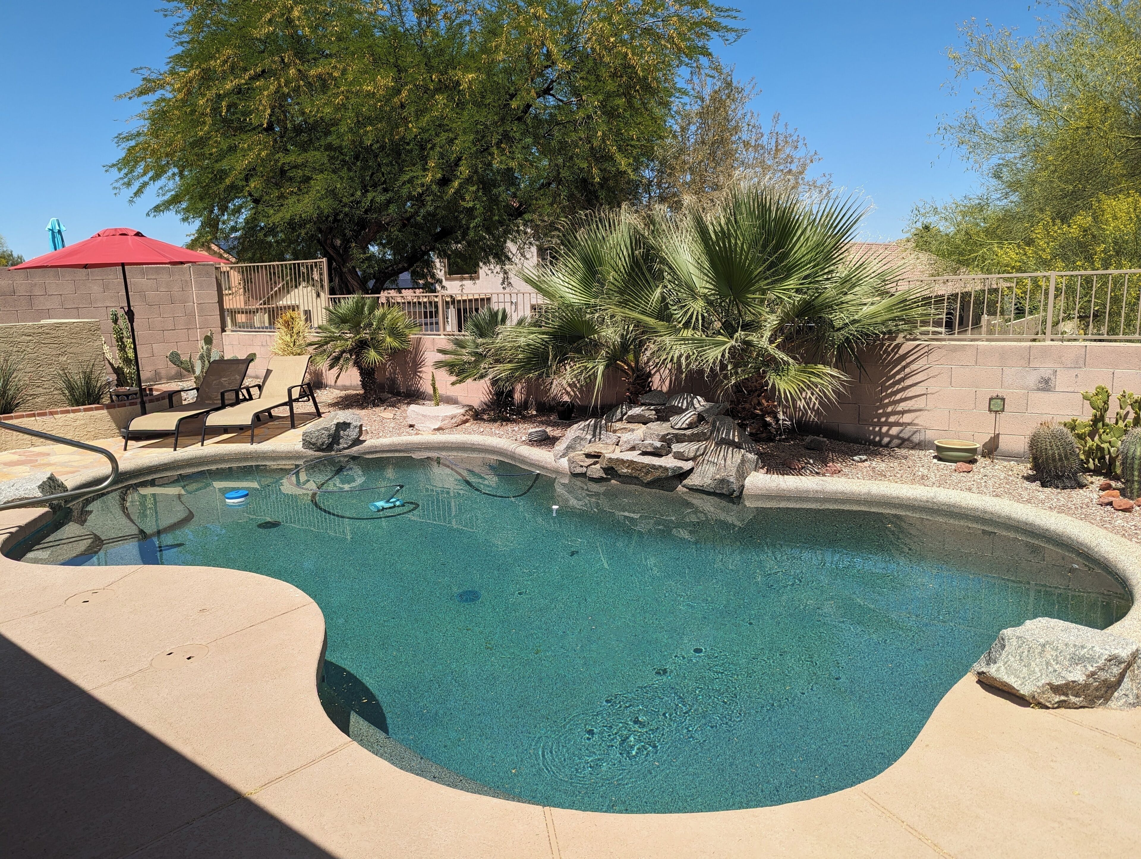 Estrella Mountain Ranch / heated pool / pet-free / nearby golfing / walkability!