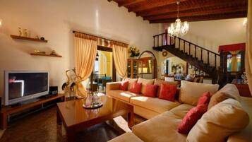 Télévision, cheminée, lecteur de DVD, chaßne hi-fi