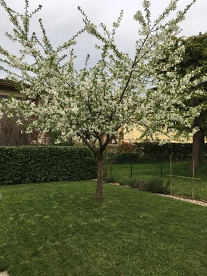 Jardines del alojamiento