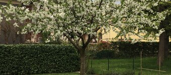 NEW Francesco apartment, Peschiera del Garda in quiet and central area