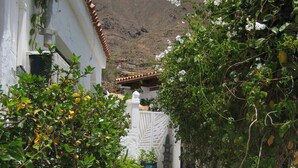 A narrow pathway flanked by lush greenery and white walls, leading to a traditional building with a tiled roof. - La casa del molino-Ideal for Two (Mogan)