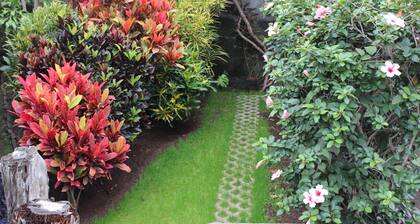 Chocolate House Garden