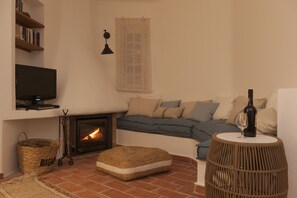 TV, fireplace, books