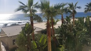 A balcony with palm trees overlooking a beach. - !!!!!!  LA JOLLA DEL MAR ROSARITO SHORES. !!!!! (Playas Rosarito)