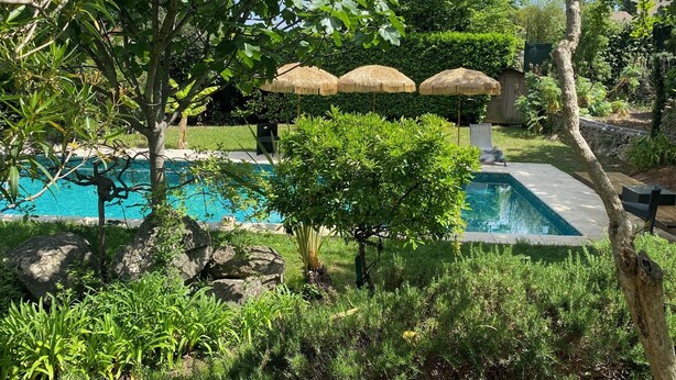 A swimming pool surrounded by lush greenery, with a thatched umbrella and a chair. - Comfortable, quiet, spacious apartment, lush garden, Nice hinterland  (Roquefort-Les-Pins)