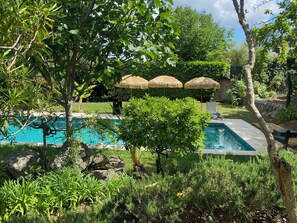 A swimming pool surrounded by lush greenery, with a thatched umbrella and a chair. - Comfortable, quiet, spacious apartment, lush garden, Nice hinterland  (Roquefort-Les-Pins)