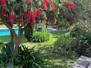 Alberca al aire libre 