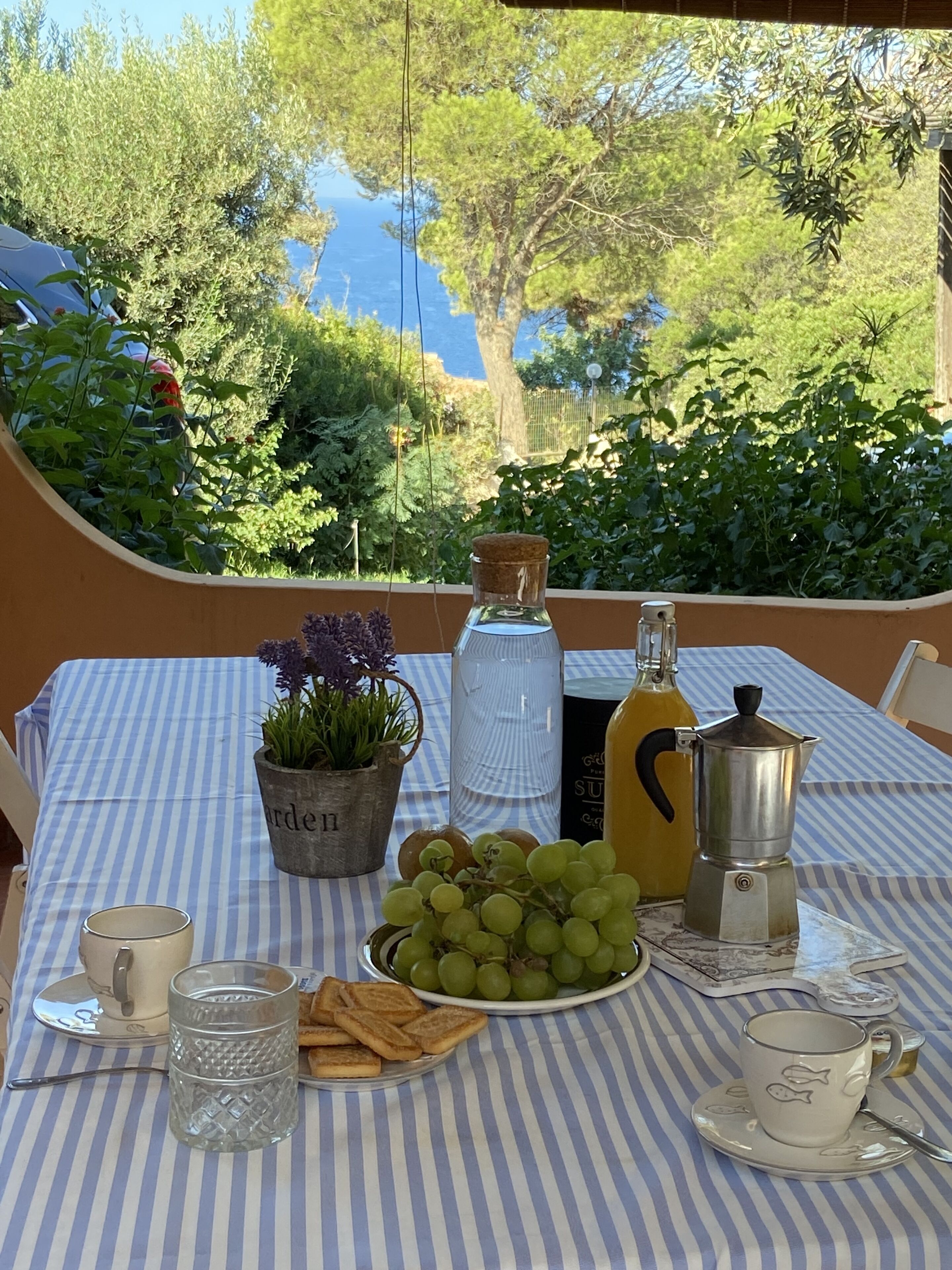 A table set with a potted plant, a bottle, a plate of grapes, a coffee pot, a cup, and a glass.