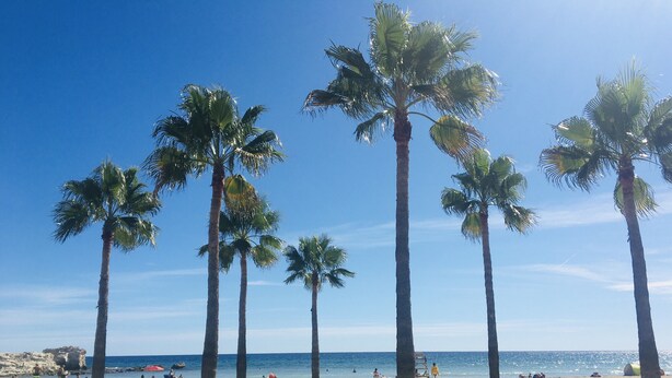 Strand
