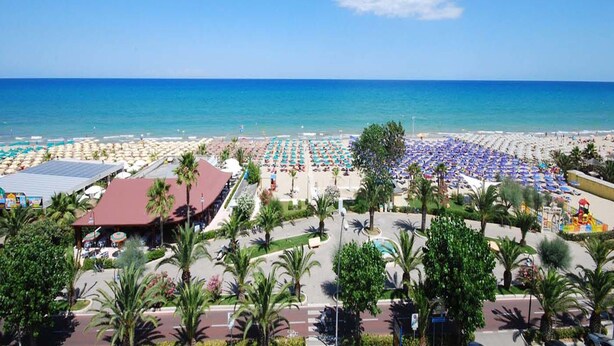A beach resort with rows of beach umbrellas, palm trees, and a clear view of the ocean.