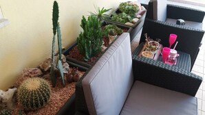 A small indoor garden with various cacti and succulents, a wicker sofa, and a small table with drinks and snacks.