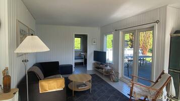 电视、DVD 播放器、书、立体声音响