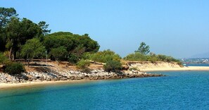 Chaises longues, serviettes de plage