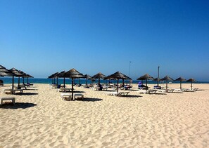 Une plage avec des chaises longues et des parasols en chaume.