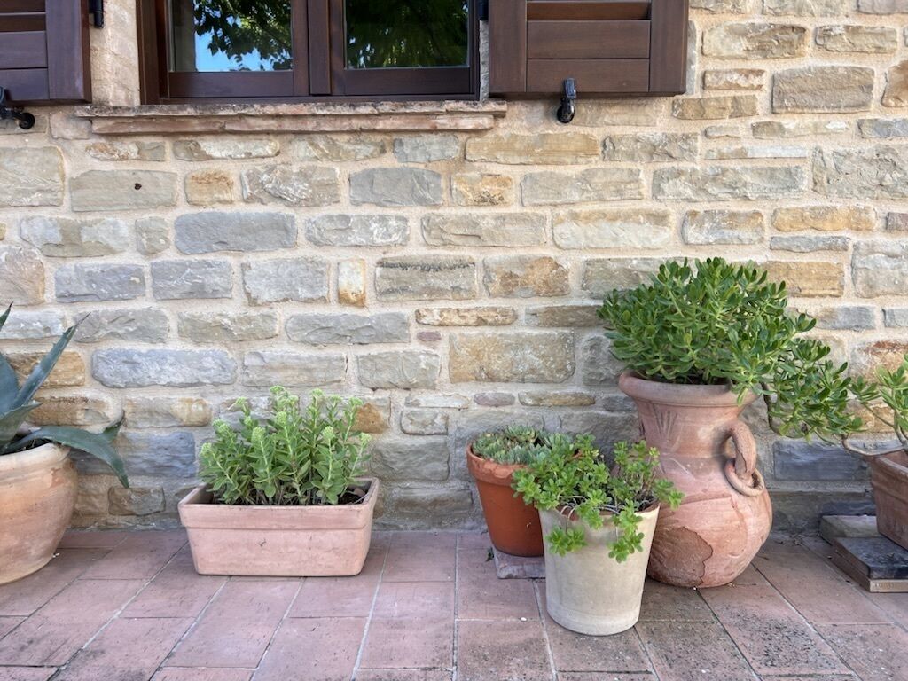 Detall de l'exterior