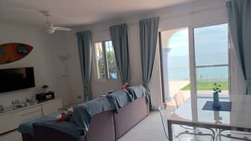 Televisión, reproductor de DVD, libros y estéreo